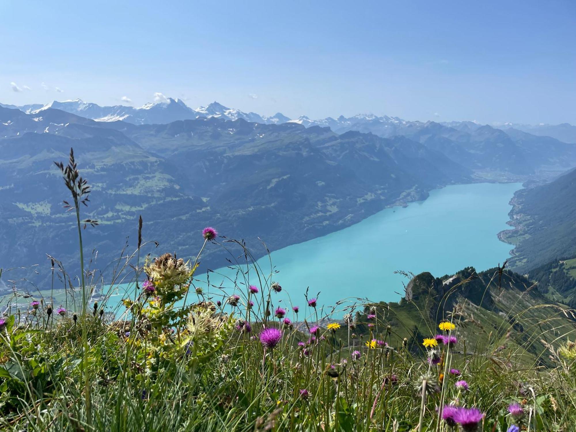 Romantic Lake & Mountain Apartment Pure Swissness Brienz  Exterior foto